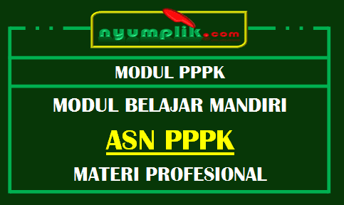 Modul Profesional PPPK